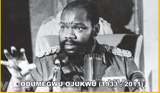 ODUMEGWU OJUKWU (1993 – 2011),  AFTER OJOKWU: WHO LEADS IGBO