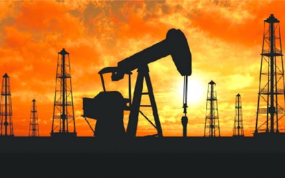 Africa To Experience Growth In Oil Demand – Opec
