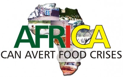 Africa Can Avert Food Crises