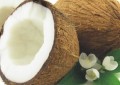 Some Benefits of Eating Coconut Rice