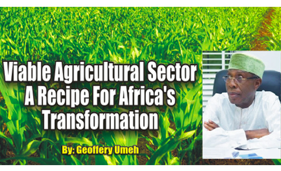 Viable Agric Sector – A Recipe For Africa’s Transformation