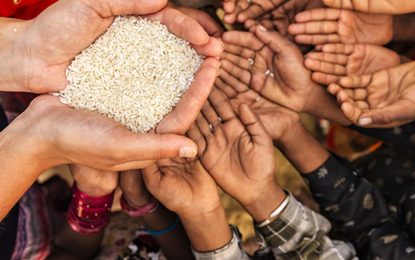 Global Food Crisis: World Bank And AFDB Advice African Governments